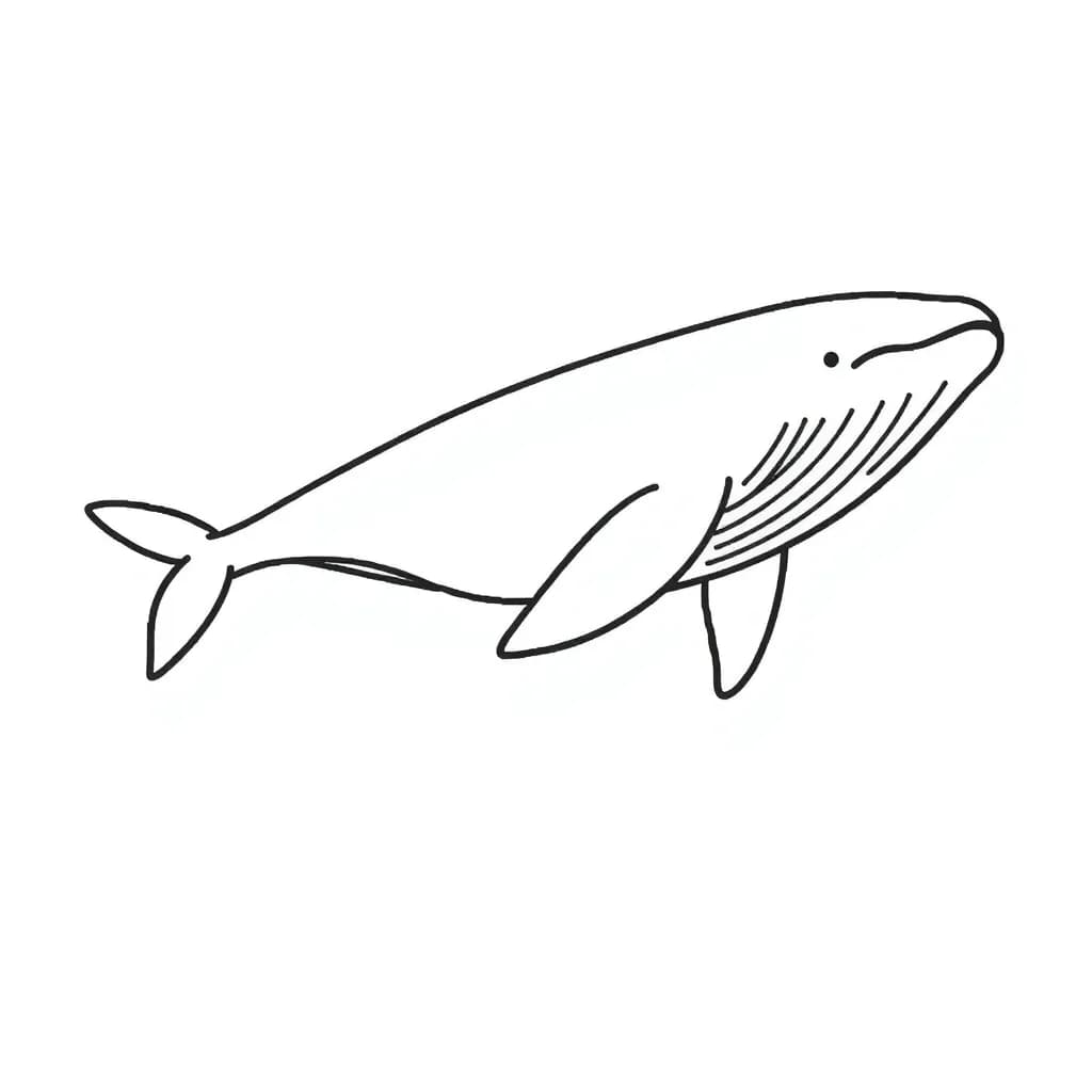 Minimalist Whale