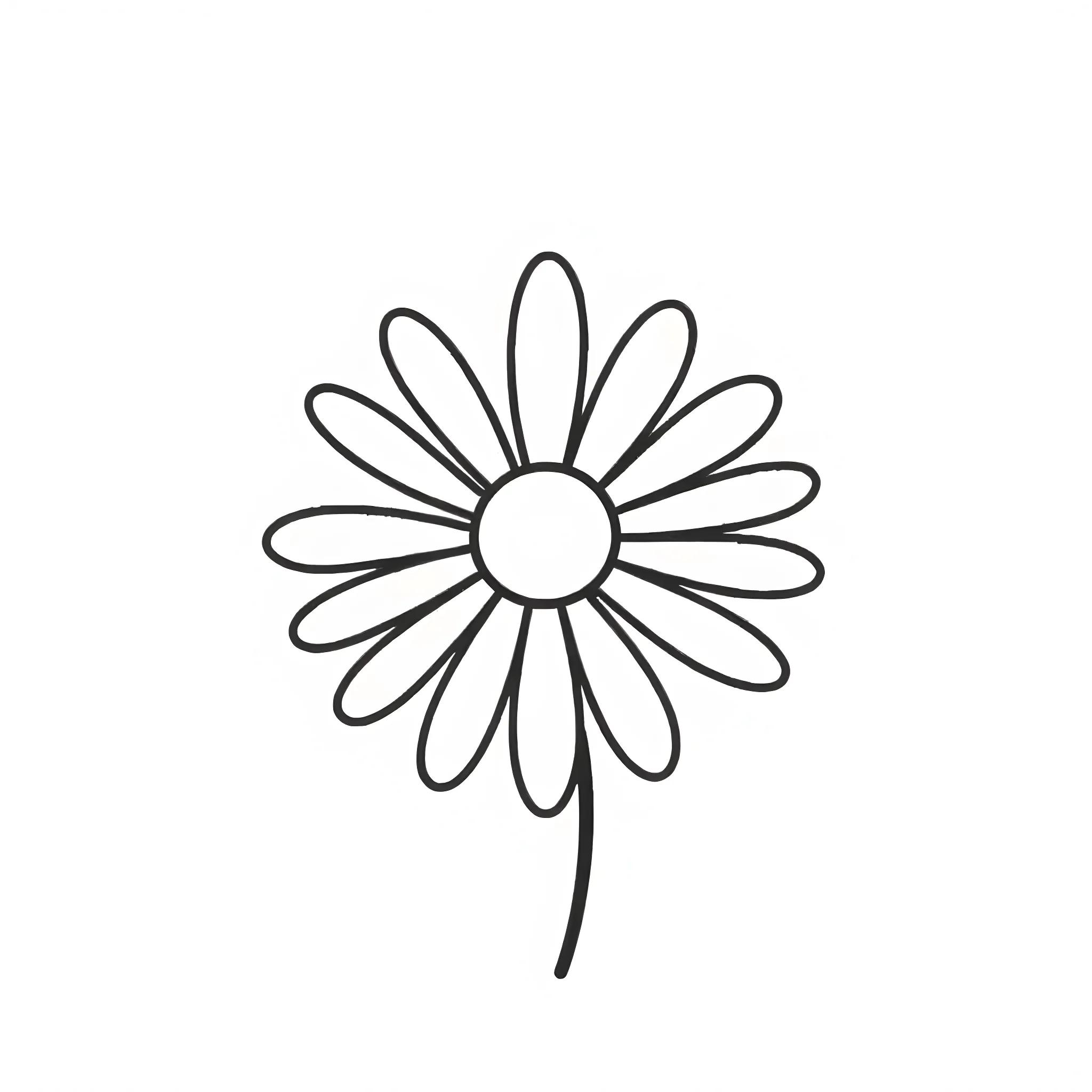 Easy Daisy Drawing