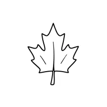 Maple Leaf